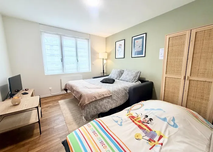 La Perle Suedoise - Avec Terrasse Et Cour Privee Calais