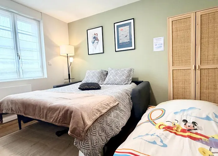 La Perle Suedoise - Avec Terrasse Et Cour Privee